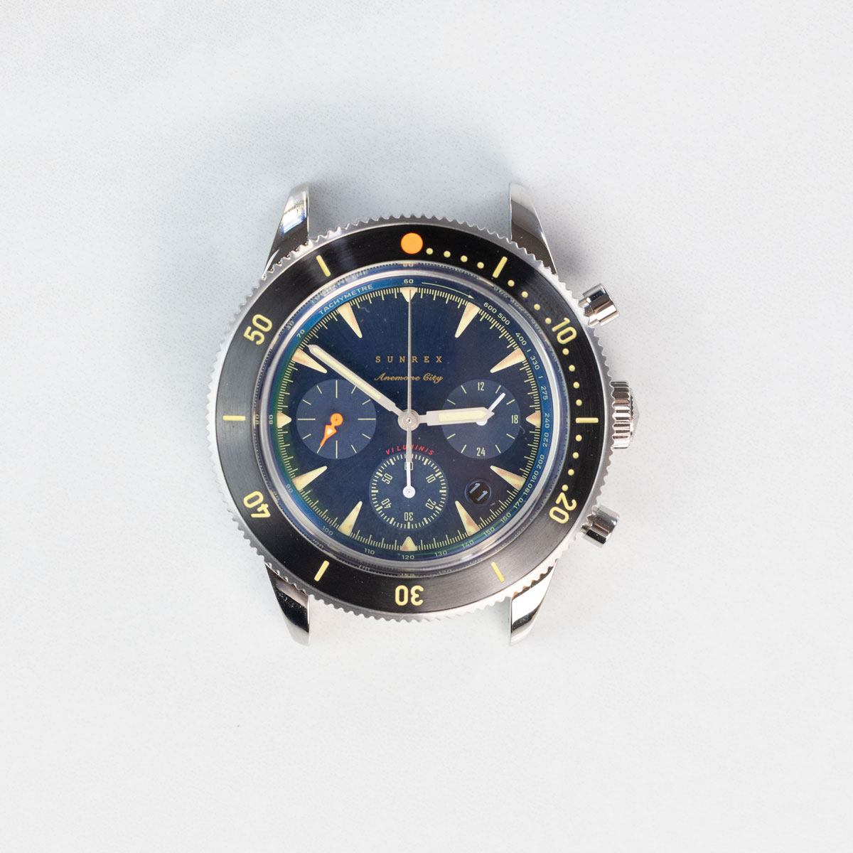 Sunrex Anemone City, 40mm Solar Chronograph